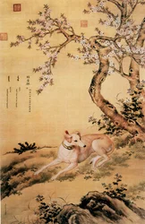 Bild von Shanxing Wolf, einem chinesischen Windhund, aus dem Album Zehn geschätzte Hunde